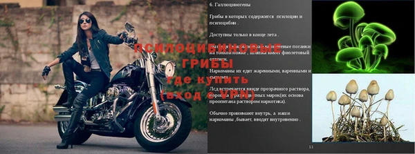 амф Алексеевка