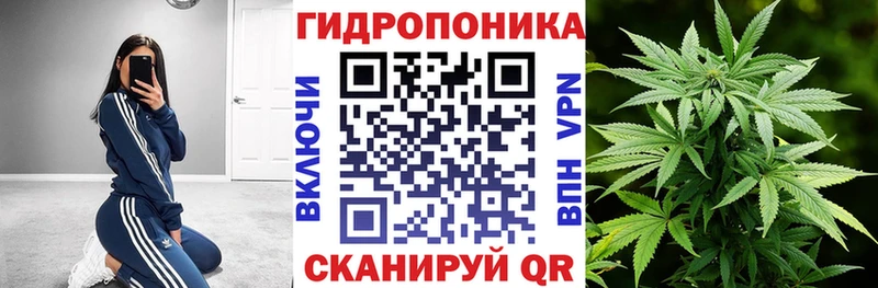 MEGA ONION  цены наркотик  маркетплейс телеграм  Бошки марихуана планчик  Юрьев-Польский 